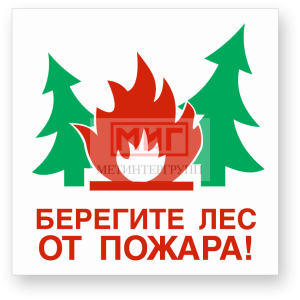 Фото 6 - В-06 Берегите лес от пожара.