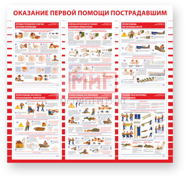 Фото 2 - Оказание первой помощи пострадавшим, стенд.
