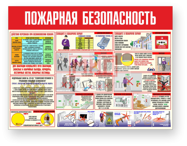 Фото 2 - Пожарная безопасность, стенд.